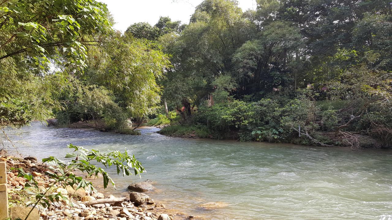 Khao Sok Jungle Hostel Khao Sok National Park Dış mekan fotoğraf